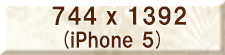 744x1392